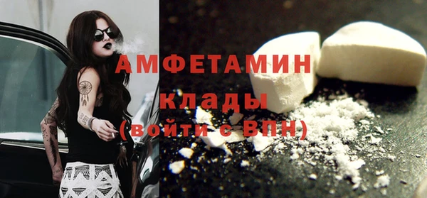 твердый Бородино