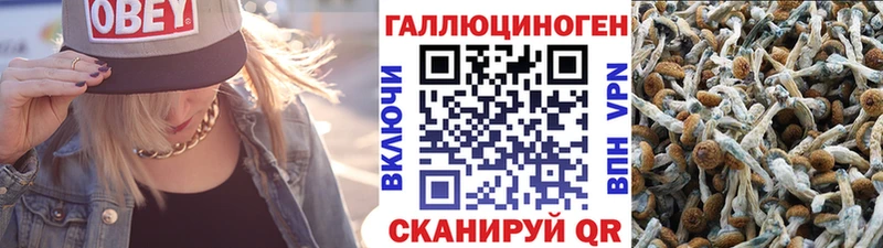 Псилоцибиновые грибы прущие грибы  Верещагино 